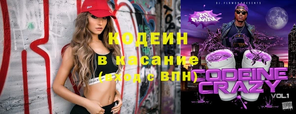гашик Алексин
